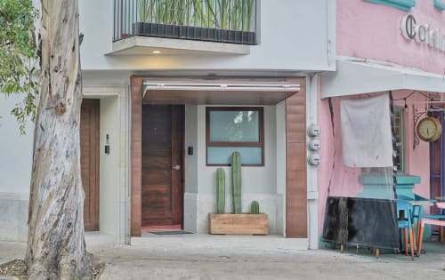 Entrada de Pares Homes CDMX con puerta de madera, maceta de cactus y fachada minimalista