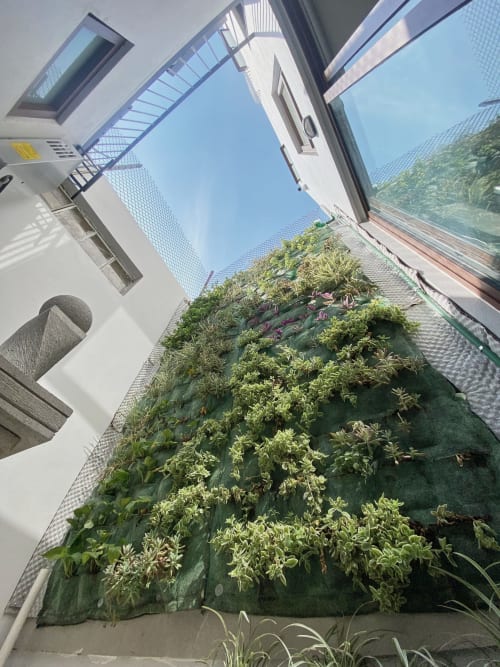 Terraza en azotea de apartamento Pares Homes en CDMX con muro verde vivo, claraboya y vista despejada del cielo azul