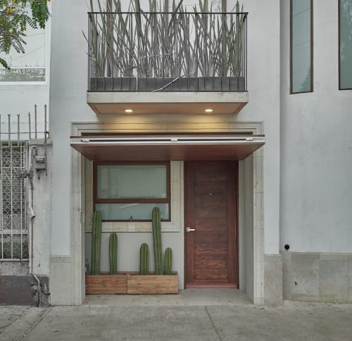 Entrada moderna del departamento CDMX en Pares Homes con puerta de madera, ventana de vidrio, maceta de cactus y balcón superior