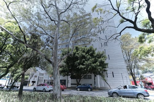 Edificio de departamentos Pares Homes en la Ciudad de México con árboles frondosos y autos estacionados al frente