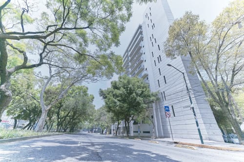 Calle arbolada con moderno edificio de departamentos blancos en la Ciudad de México