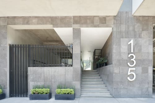 Entrada moderna de hormigón a departamentos Pares Homes en Ciudad de México con escaleras, portón metálico, macetas y número 135