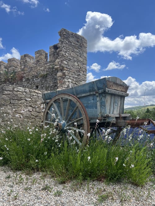 The courtyard cart