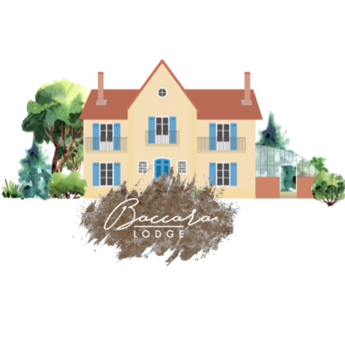 Découvrez notre gîte de groupe idéal pour 15 personnes, niché au cœur des Landes. Une location de vacances unique avec piscine. proche des plages landaises.