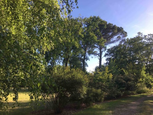 Découvrez notre gîte de groupe idéal pour 15 personnes, niché au cœur des Landes. Une location de vacances unique très bien équipée. Le Baccara Lodge, c'est une maison de vacances avec piscine, 8 chambres, 8 salles de bains, proche des plages landaises et de Contis.