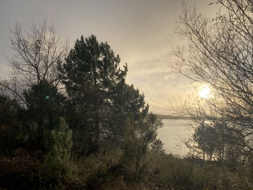 Découvrez notre gîte de groupe idéal pour 15 personnes, niché au cœur des Landes. Une location de vacances unique très bien équipée. Le Baccara Lodge, c'est une maison de vacances avec piscine, 8 chambres, 8 salles de bains, proche des plages landaises et de Contis. réserve d'Arjuzanx à 5 mins.