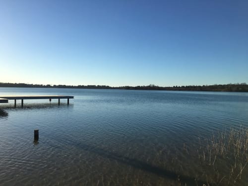 Découvrez notre gîte de groupe idéal pour 15 personnes, niché au cœur des Landes. Une location de vacances unique très bien équipée. Le Baccara Lodge, c'est une maison de vacances avec piscine, 8 chambres, 8 salles de bains, proche des plages landaises et de Contis. réserve d'Arjuzanx à 5 mins.