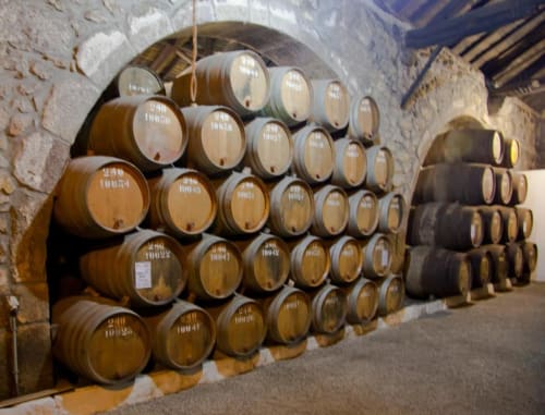 OPorto Cheers Gaia - flats near Major Port Wine Cellars, WOW and Yetman. Pet Friendly, Shared Gardens, 