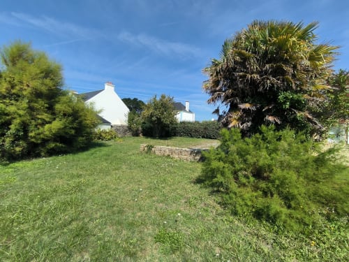 Charmante maison de famille à Locmaria, Belle Île avec jardin luxuriant, palmier et façade blanchie