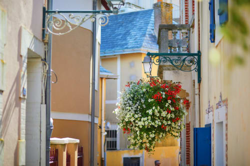 Charmante rue d'Aigues-Mortes proche du gîte MAS PETIT CORBIERE B&B 
