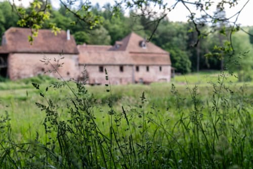 paulusmühle ancien moulin nature forêt