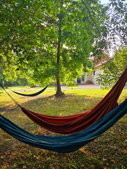 wooded park, garden, hammock