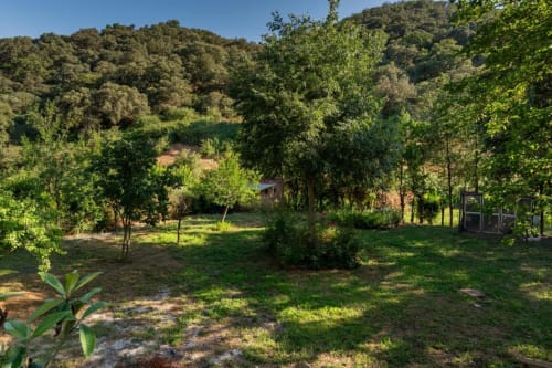 Exuberantes jardines verdes de la villa Casa Rural Ribera del Hueznar en Constantina con colinas boscosas de fondo