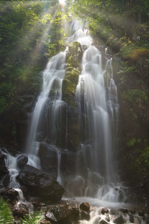 Tendon Waterfall