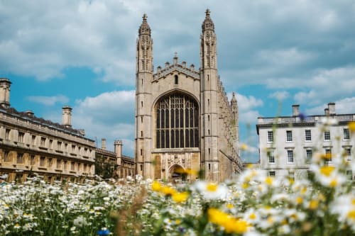 King's College Chapel Cambridge with yellow and white flowers in foreground, near Waterbeach