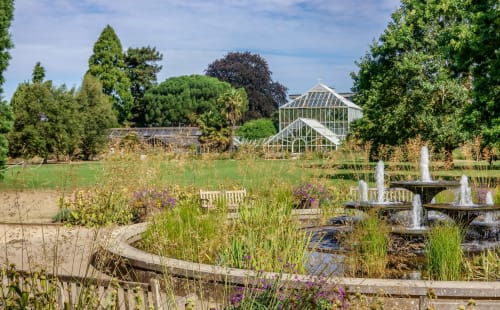 Grapevine Studio gardens in Waterbeach, Cambridge featuring wetland ponds, greenhouses, and ornamental plantings