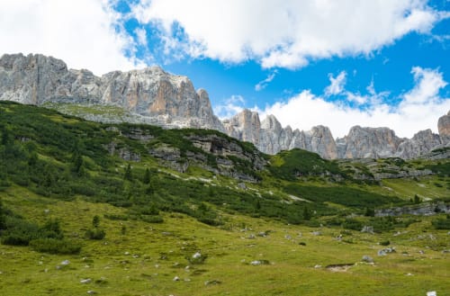 Alpine mountain landscape with lush green meadows and dramatic rocky peaks near Vezza d'Oglio, Italy