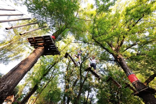 Guests enjoying treetop adventure course at Noemi Holiday House in Agnone Bagni, surrounded by lush green trees