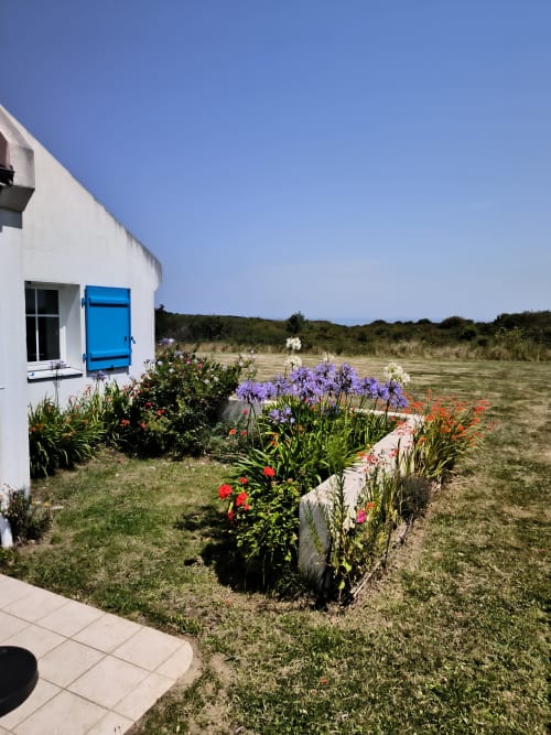 Chaumière blanche aux volets bleus et jardin fleuri coloré surplombant la campagne à Locmaria, Belle-Île-en-Mer