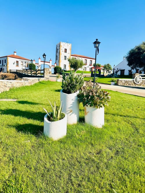 Plantas blancas en macetas sobre césped verde con edificio histórico de piedra tipo hotel al fondo en Mérida