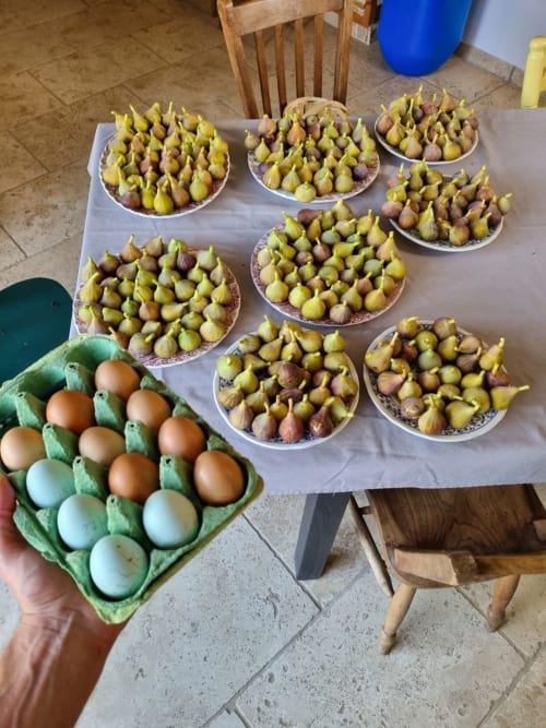 Œufs frais et figues exposés à la Maisonaurinko B&B à Thénon, France