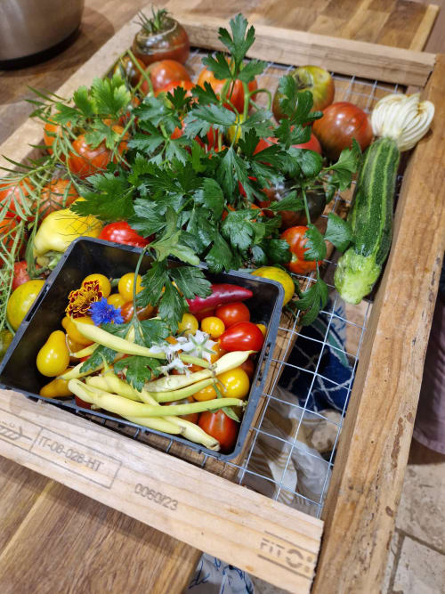 Légumes frais dont tomates, haricots et herbes exposés à la Maisonaurinko B&B à Thénon, France