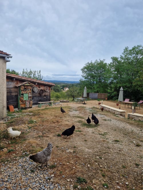 Cour du gîte Maisonaurinko à Thénon avec poules en liberté, cabanon rustique et vue sur la campagne