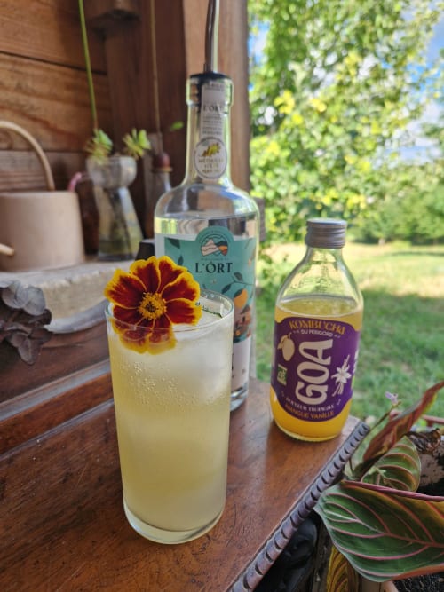 Apéritif rafraîchissant garni d'une fleur comestible à la Maisonaurinko B&B à Thénon, vue sur le jardin
