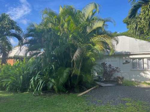 Villa blanche aux luxuriants jardins tropicaux de palmiers et allée de gravier à Saint-François, Guadeloupe