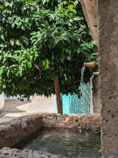 Fuente de piedra con agua corriente rodeada de vegetación en un patio tradicional cerca del apartamento turístico en Granada.