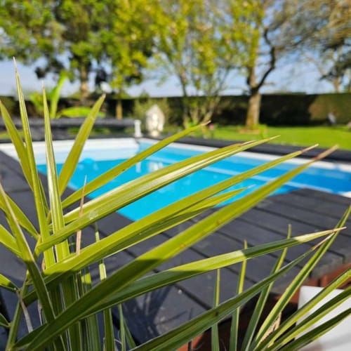 <img src="piscine.jpg" alt="Piscine extérieure des Épinettes à Crèvecœur-le-Grand, accessible aux clients des chambres d'hôtes">
