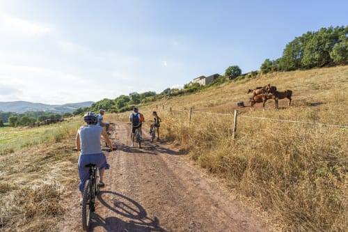 balade à vélo avec guide local, sud Aveyron, location vélo VTT, location VTTAE location Gravel