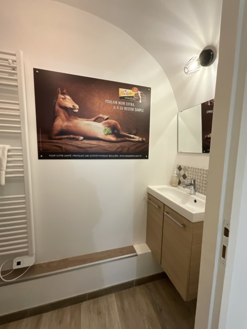 Modern bathroom at Locacharme gîte in Blois with sink, horse advertisement poster, and shared facilities