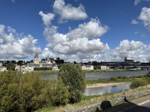 Blois riverside view with château and historic architecture along the Loire River