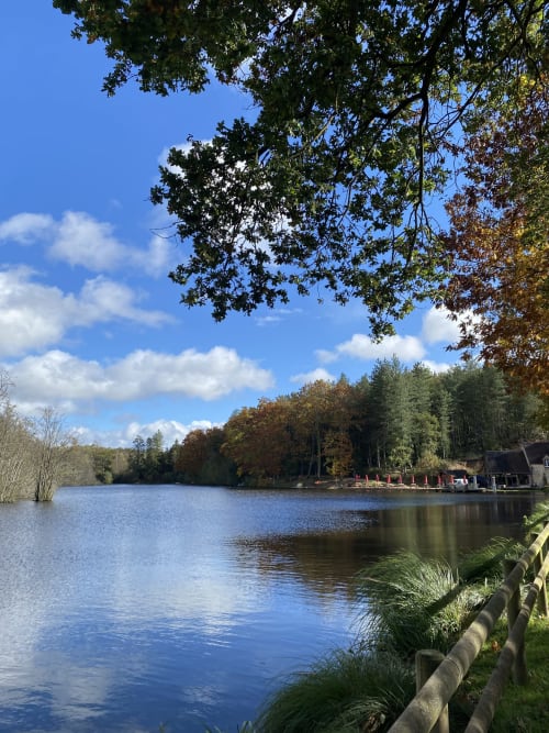 Etang - La Brasserie du Perche
