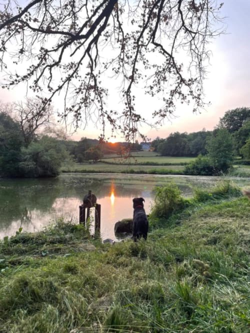 Château de Vaux Morvan vu depuis l’étang au coucher du soleil, lieu calme pour se promener