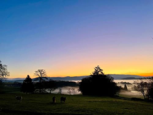 Stay with animals around Château de Vaux Morvan, nature, calm and relaxation guaranteed