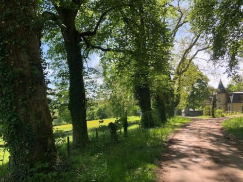 Tree-lined driveway at Château de Vaux Morvan leading to countryside estate in Étang sur Arroux, France