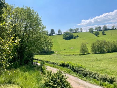 Rolling green hills and countryside landscape at Château de Vaux Morvan in Étang sur Arroux, France