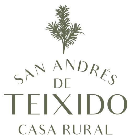 Logo de Casa Rural San Andrés de Teixido con fronda de palma estilizada en verde oliva