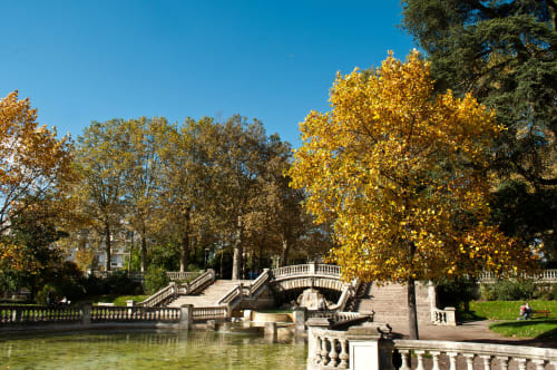 Jardin automnal serein de la Maison Rinette à Dijon avec arbres dorés, pont de pierre et architecture classique reflétés dans l'eau calme
