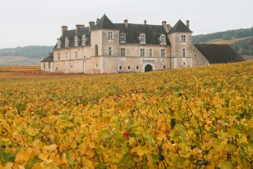 Maison Rinette, château entouré de vignobles dorés en automne près de Dijon, France