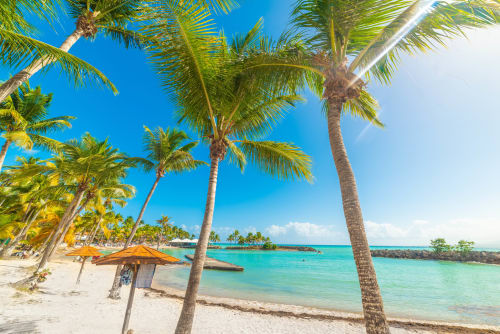 Eaux turquoise et plage bordée de palmiers au Domaine de la Glacière, Petit-Bourg, Guadeloupe avec parasol de plage orange