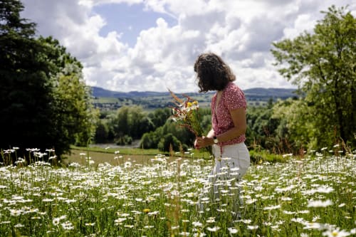 Champs de marguerites au printemps au Château de Vaux Morvan, idéal pour shooting photo ou événement
