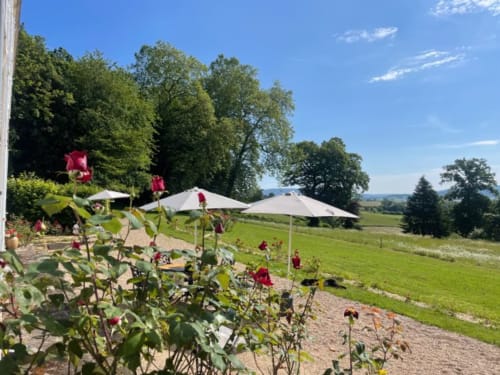Roses rouges en fleur au jardin du Château de Vaux Morgan avec parapluies et vue sur la campagne verdoyante