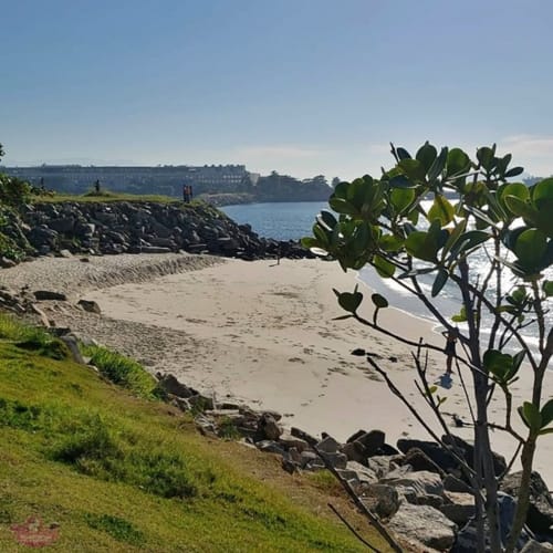 Rocky beach cove with sandy shore, green vegetation, and turquoise water at Rio Vibes Hostel in Rio de Janeiro