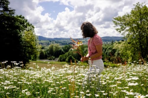 Femme cueillant des fleurs sauvages dans une prairie avec vue sur la campagne vallonnée du Morvan près du Château de Vaux