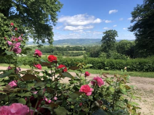 Pink roses in garden with rolling Morvan countryside view at Château de Vaux