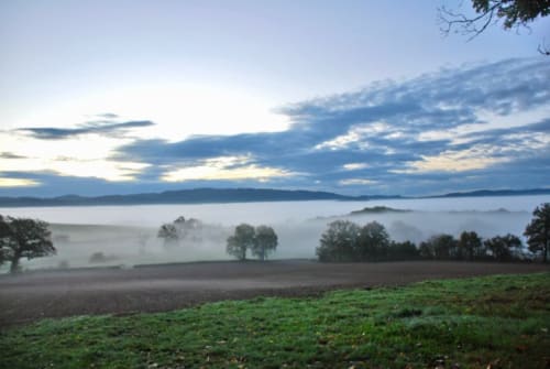 Vue matinale brumieuse de la vallée avec lac et arbres près du Château de Vaux Morvan à Étang sur Arroux, France