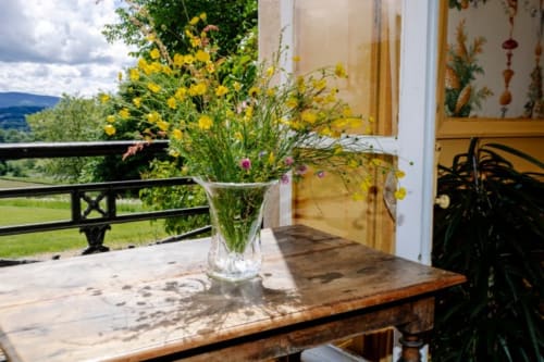 Balcon du Château de Vaux Morvan à Étang-sur-Arroux avec fleurs sauvages jaunes surplombant la campagne